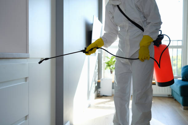 Professional Mold Removal in Cecil Bishop, PA